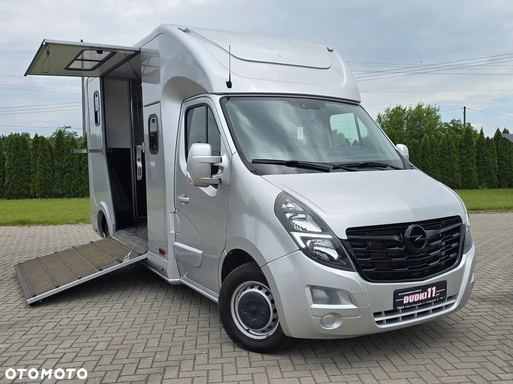 Opel Movano-Koniowóz - 3