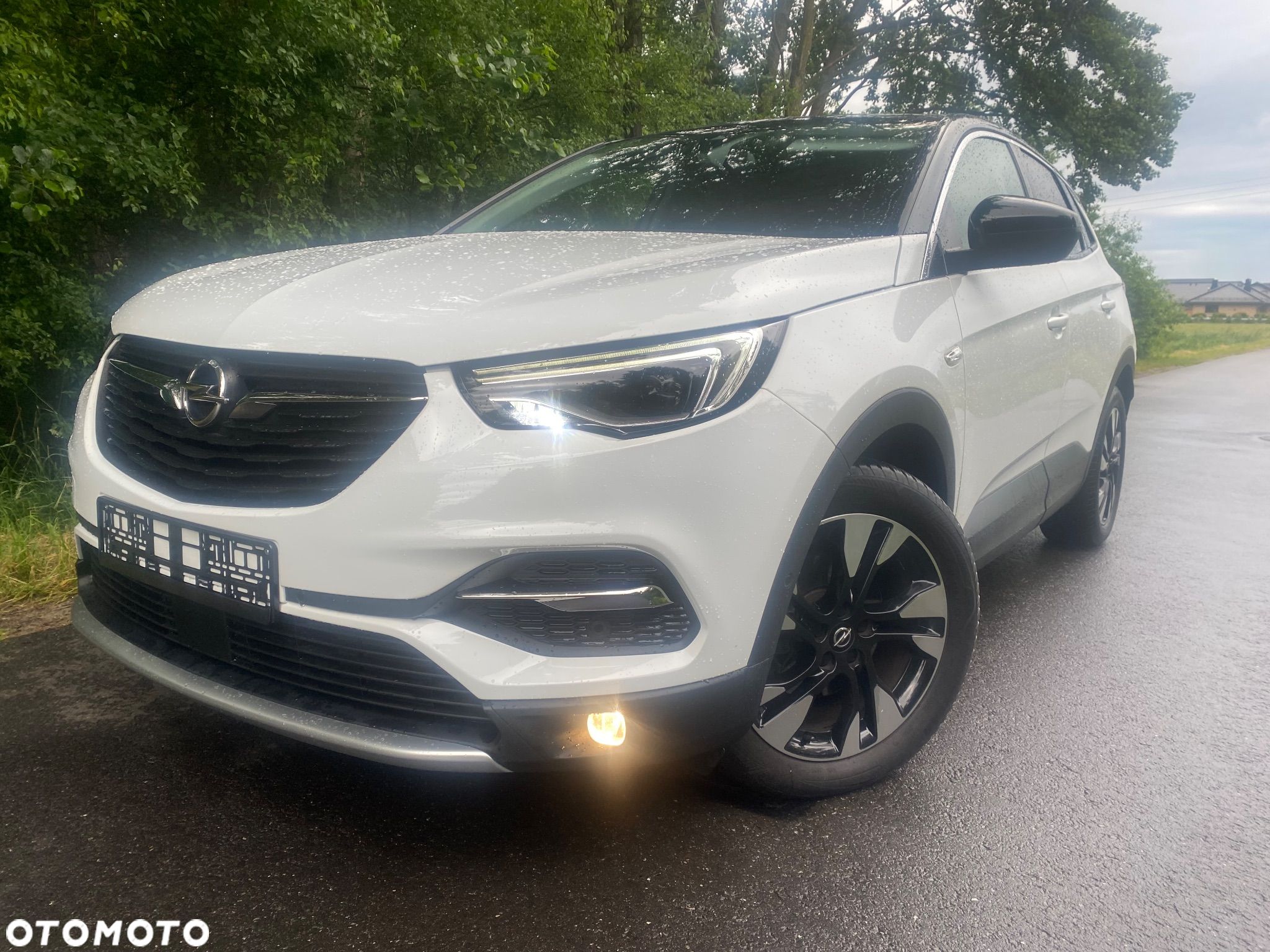 Opel Grandland X 2.0 D Start/Stop Automatik Design Line - 1
