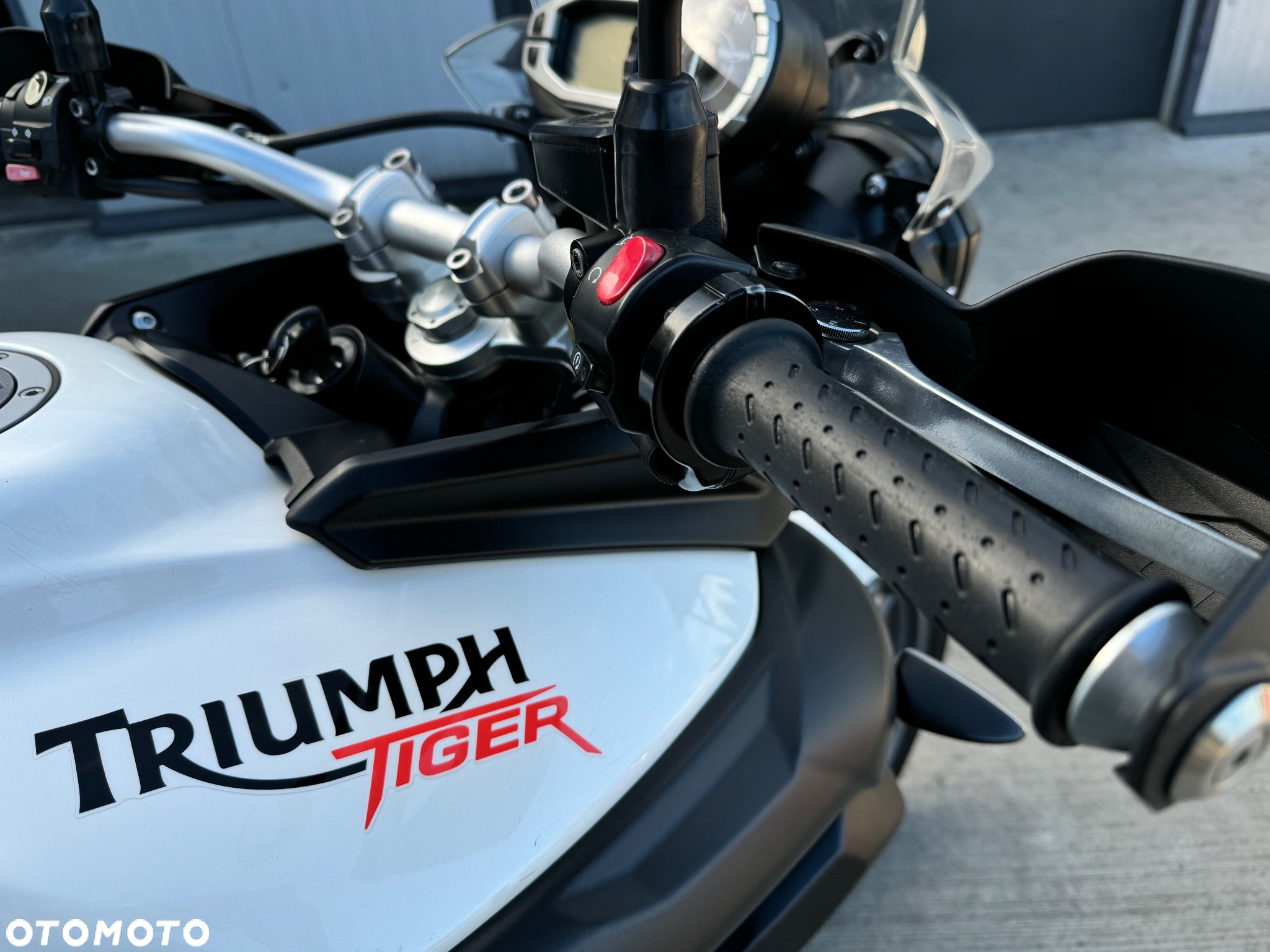 Triumph Tiger - 8