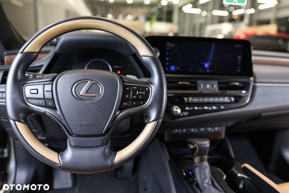Lexus ES 300h Omotenashi - 31