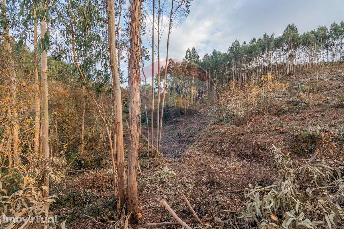 Terreno  para venda - Grande imagem: 2/9