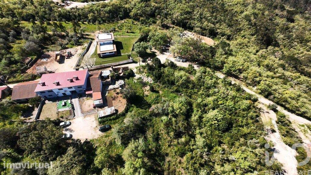 Terreno Agrícola em Pombal - Grande imagem: 3/35