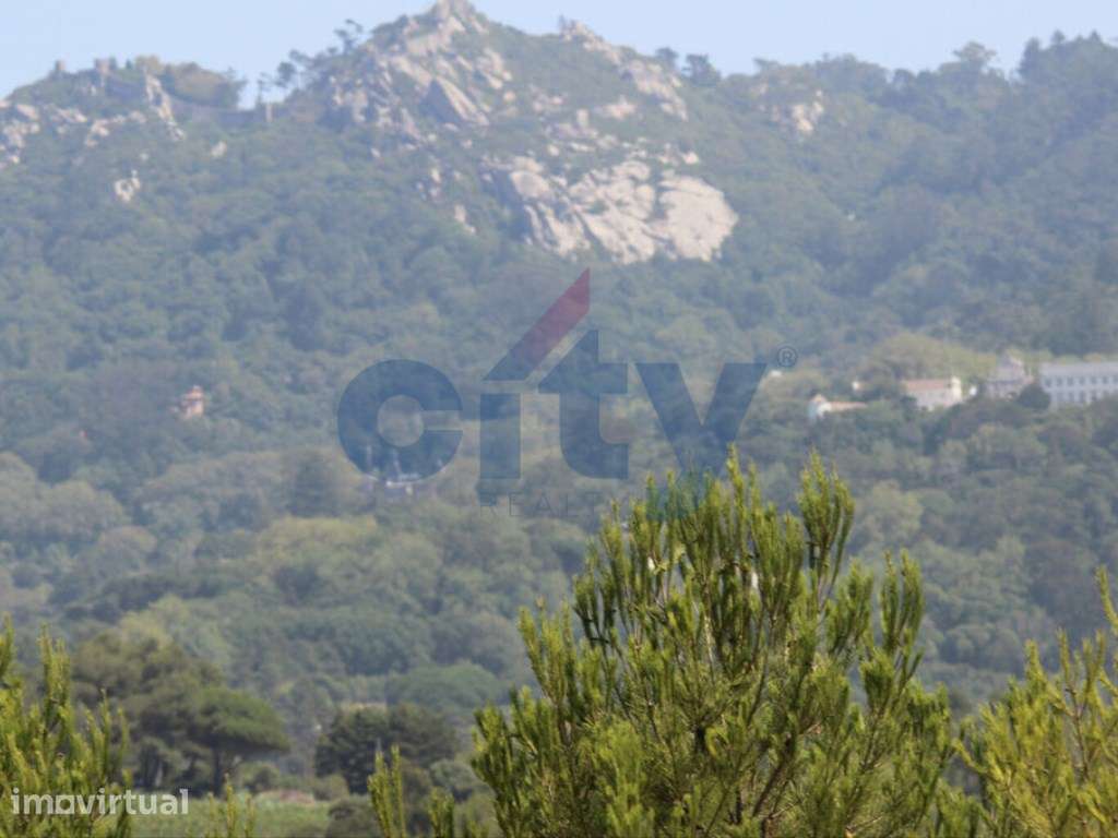 Terreno 12.000m2 em Nafarros, Sintra - Grande imagem: 5/15