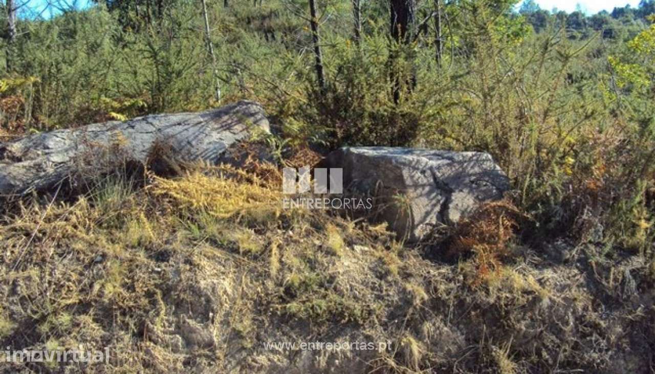 Venda Terreno, Sande, Marco de Canaveses - Grande imagem: 2/28