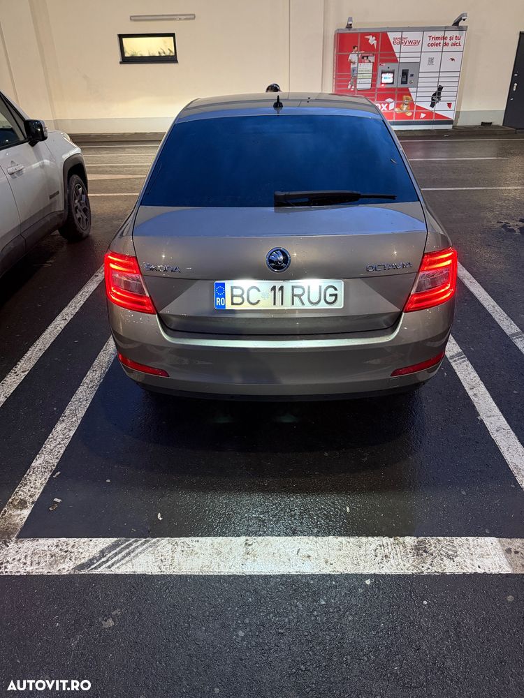 Skoda Octavia ver-2-0-tdi-elegance - 12