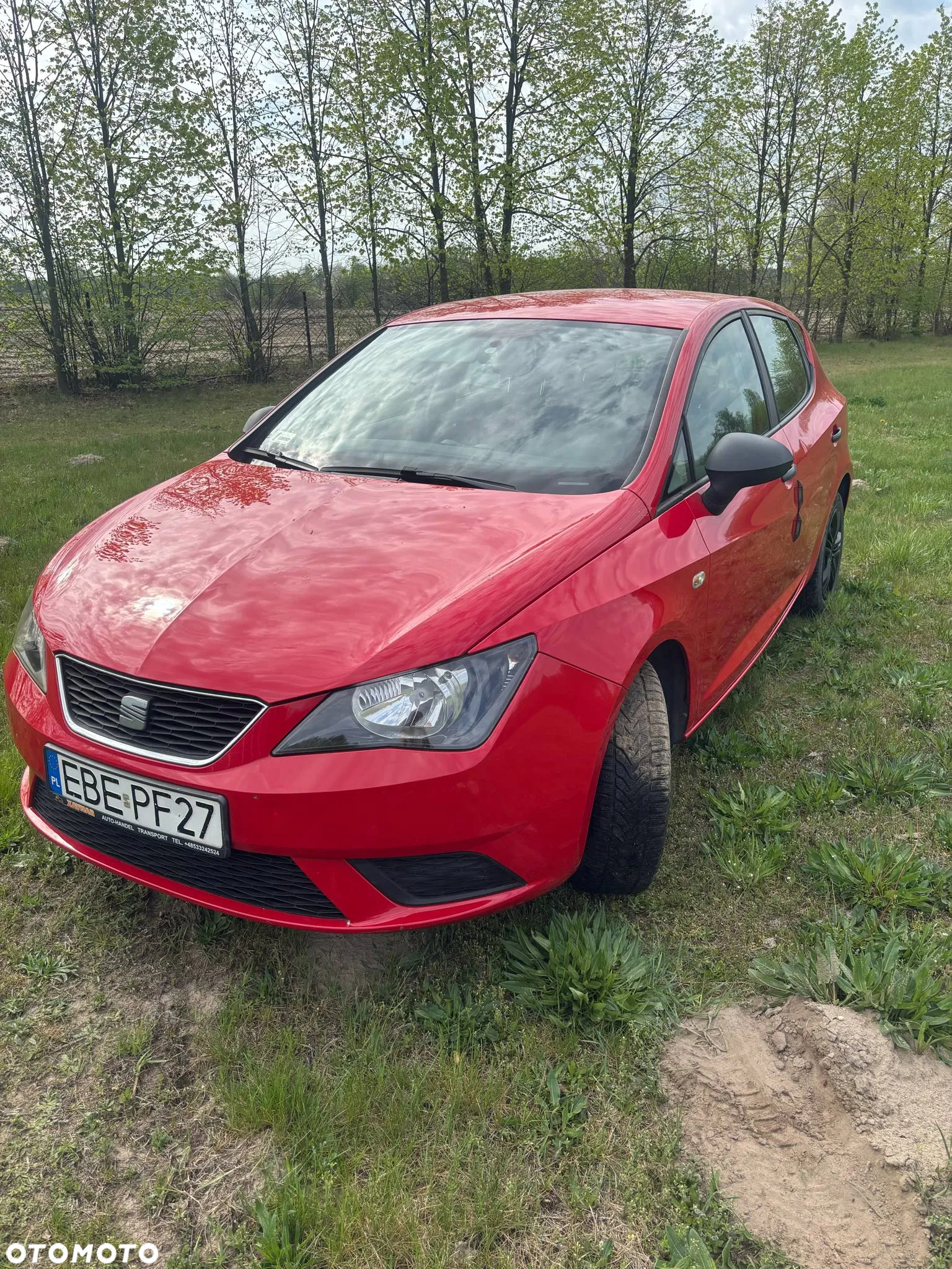 Seat Ibiza - 2