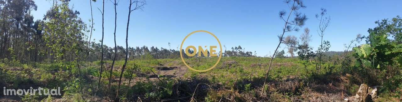 Terreno Rústico para Venda em Silveiros, Barcelos - Grande imagem: 2/7