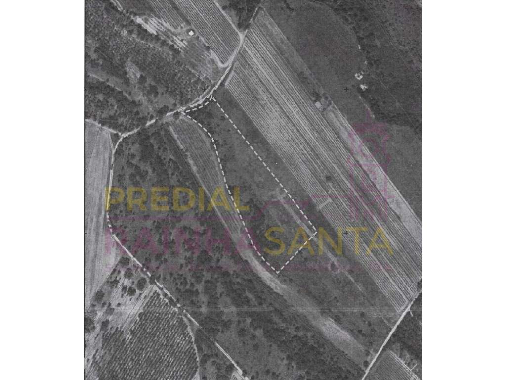 Terreno rústico com 3,5 hectares, furo e sistema de rega em Casalin... - Grande imagem: 4/7