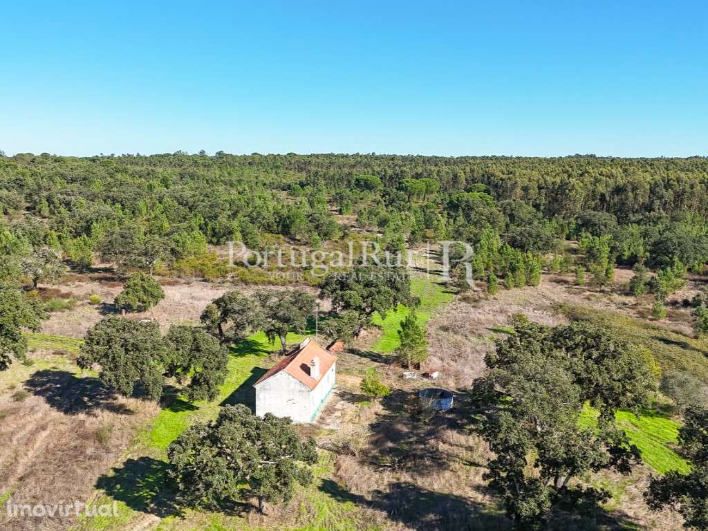 Quinta de 20ha com projeto para Turismo Rural a 1h de Lisboa - Grande imagem: 2/51