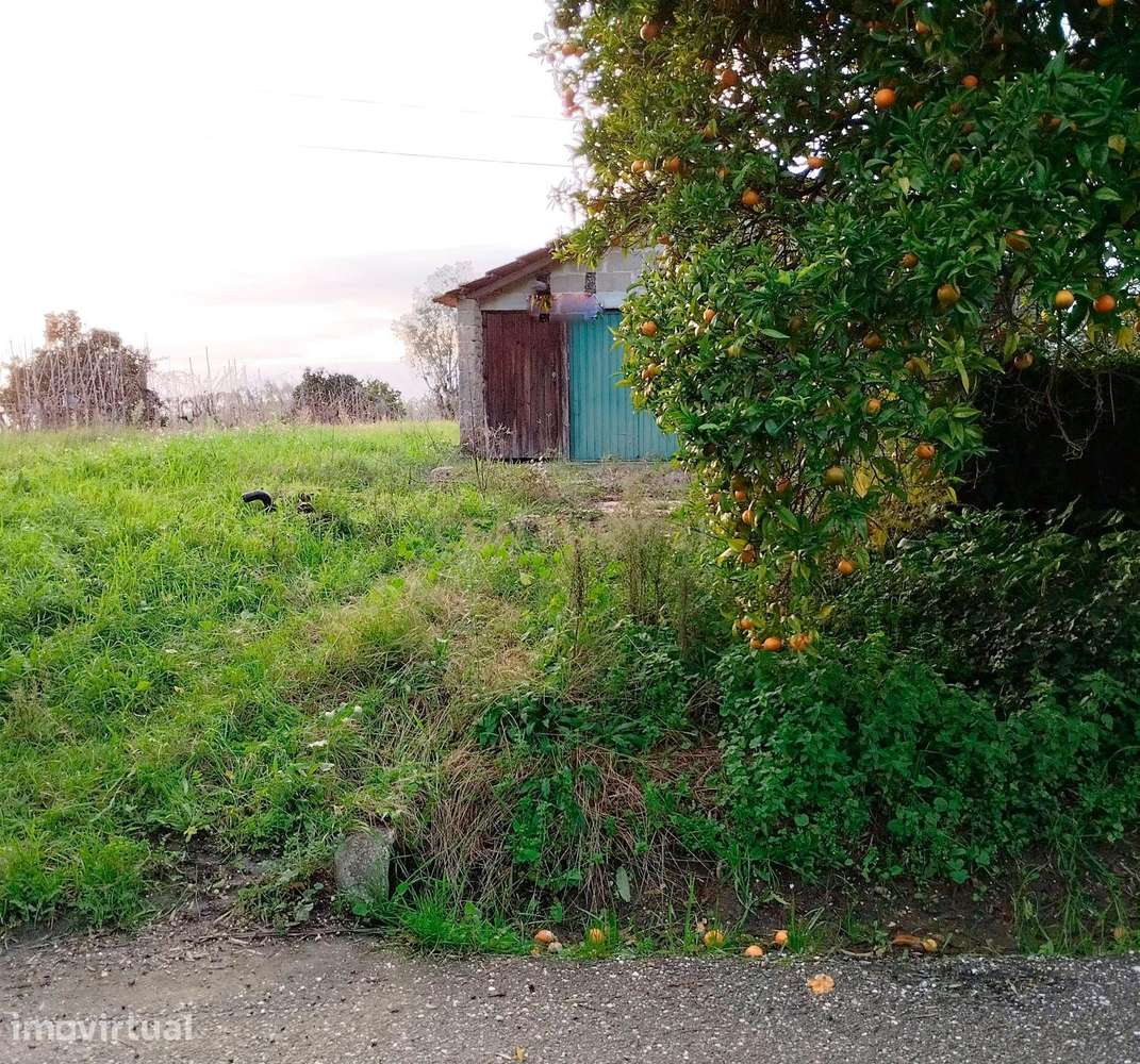 Terreno em Pouca pena - Soure - Grande imagem: 5/14