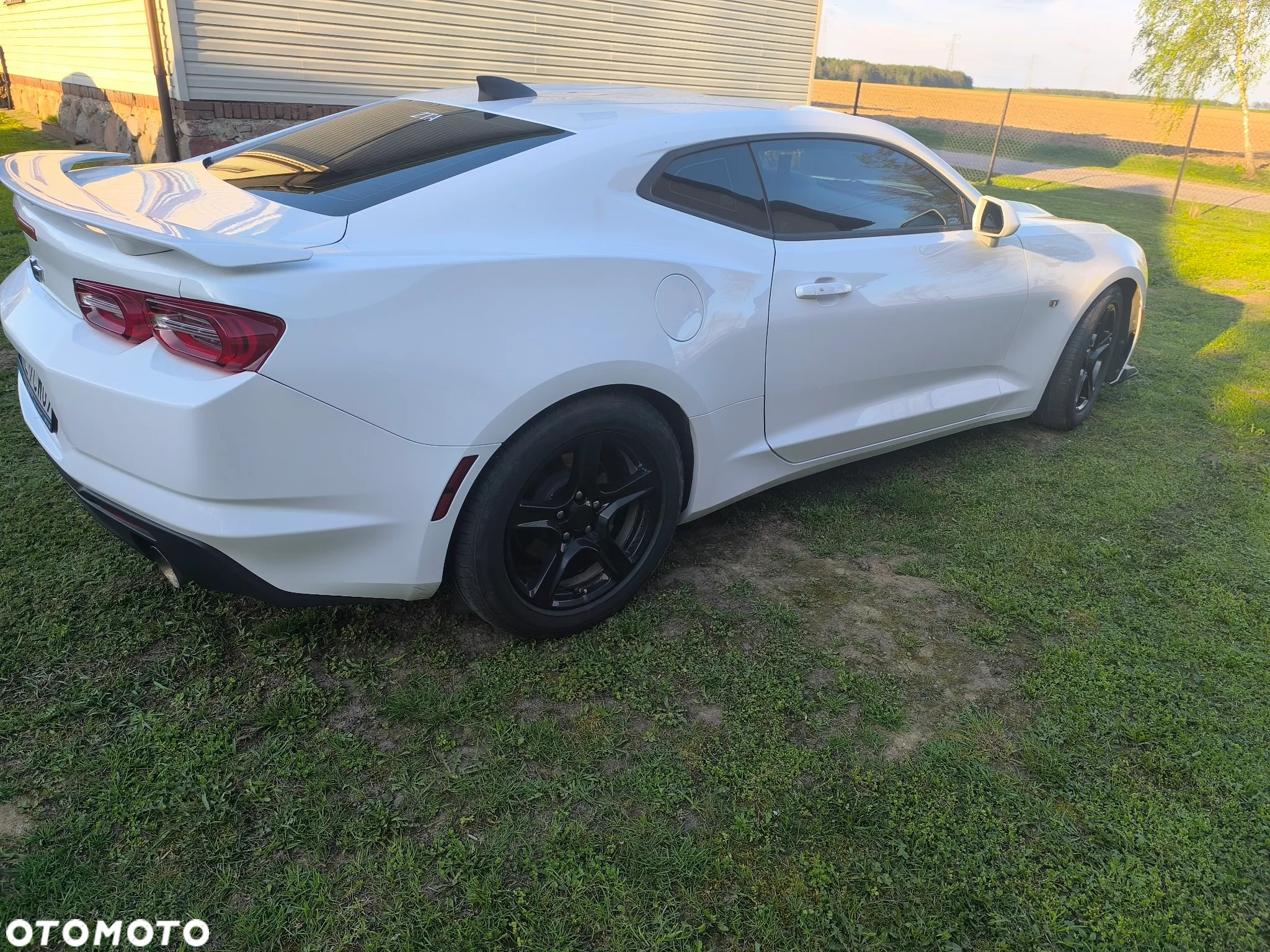 Chevrolet Camaro - 3