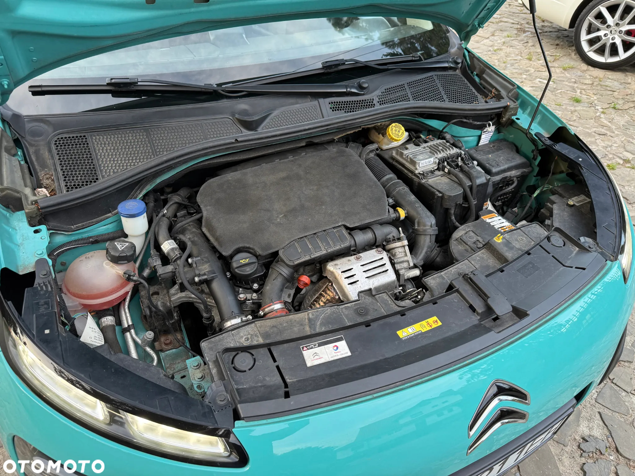 Citroën C4 Cactus 1.2 PureTech GPF Shine Pack S&S - 39