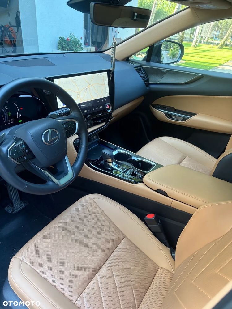 Lexus NX - 10