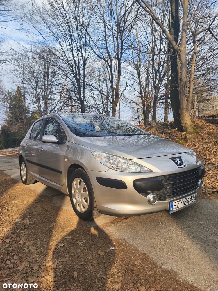 Peugeot 307 - 14