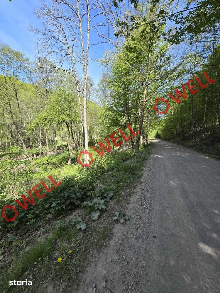 De vânzare teren extravilan în Kuvaszo! - Imagine principală: 3/11