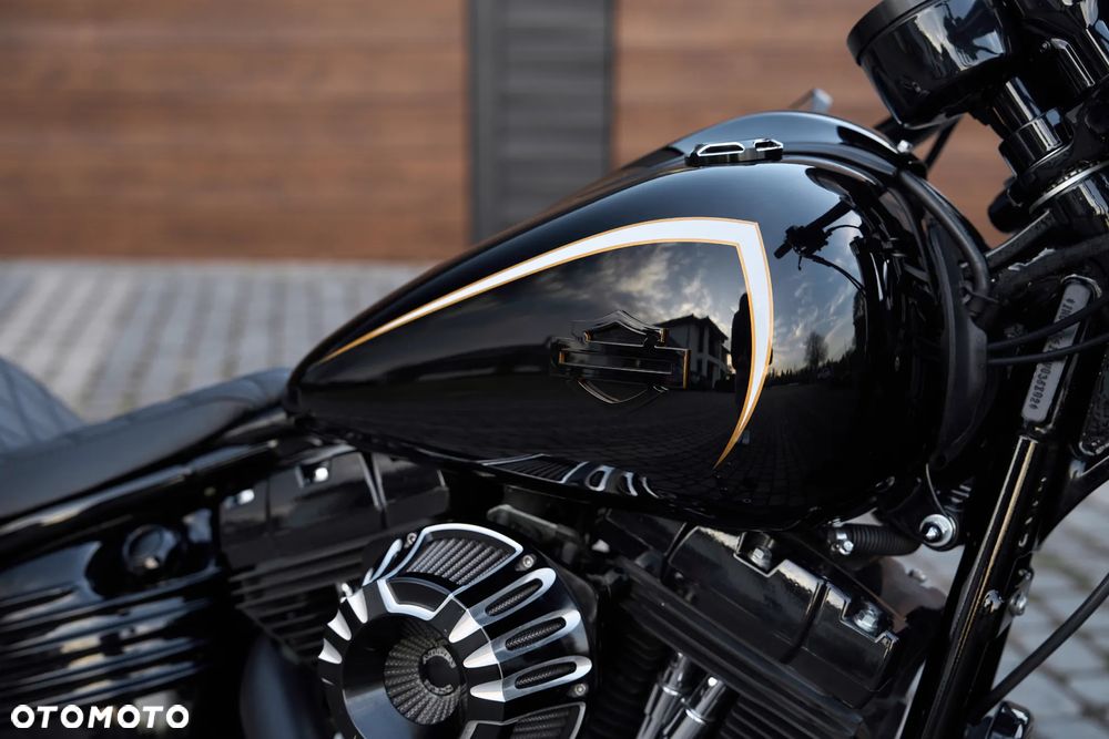 Harley-Davidson Inny - 12