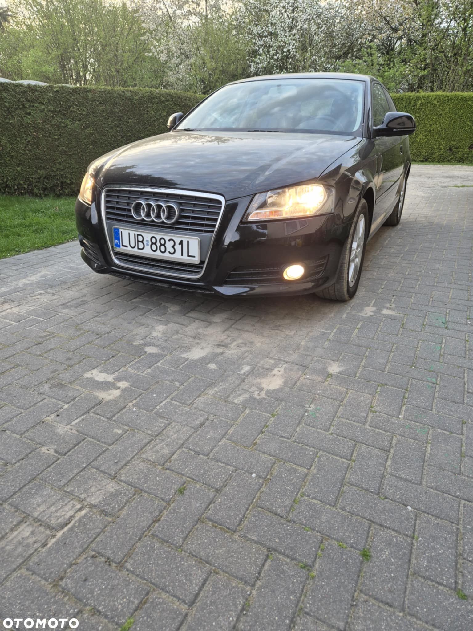 Audi A3 - 1