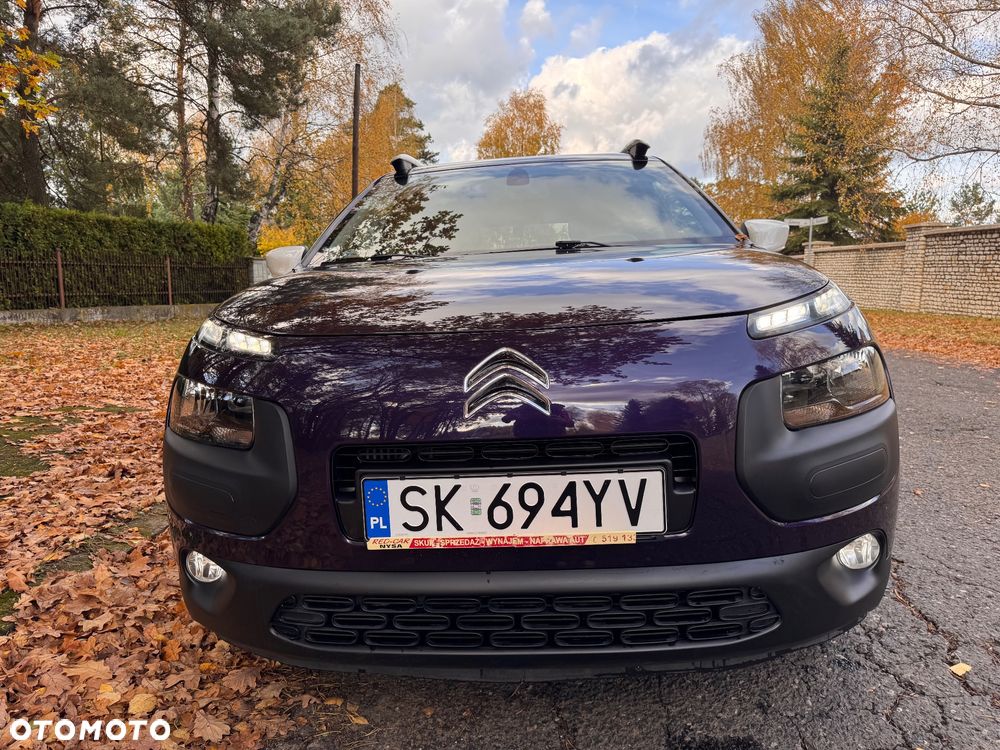 Citroën C4 Cactus 1.2 PureTech Shine S&S - 20