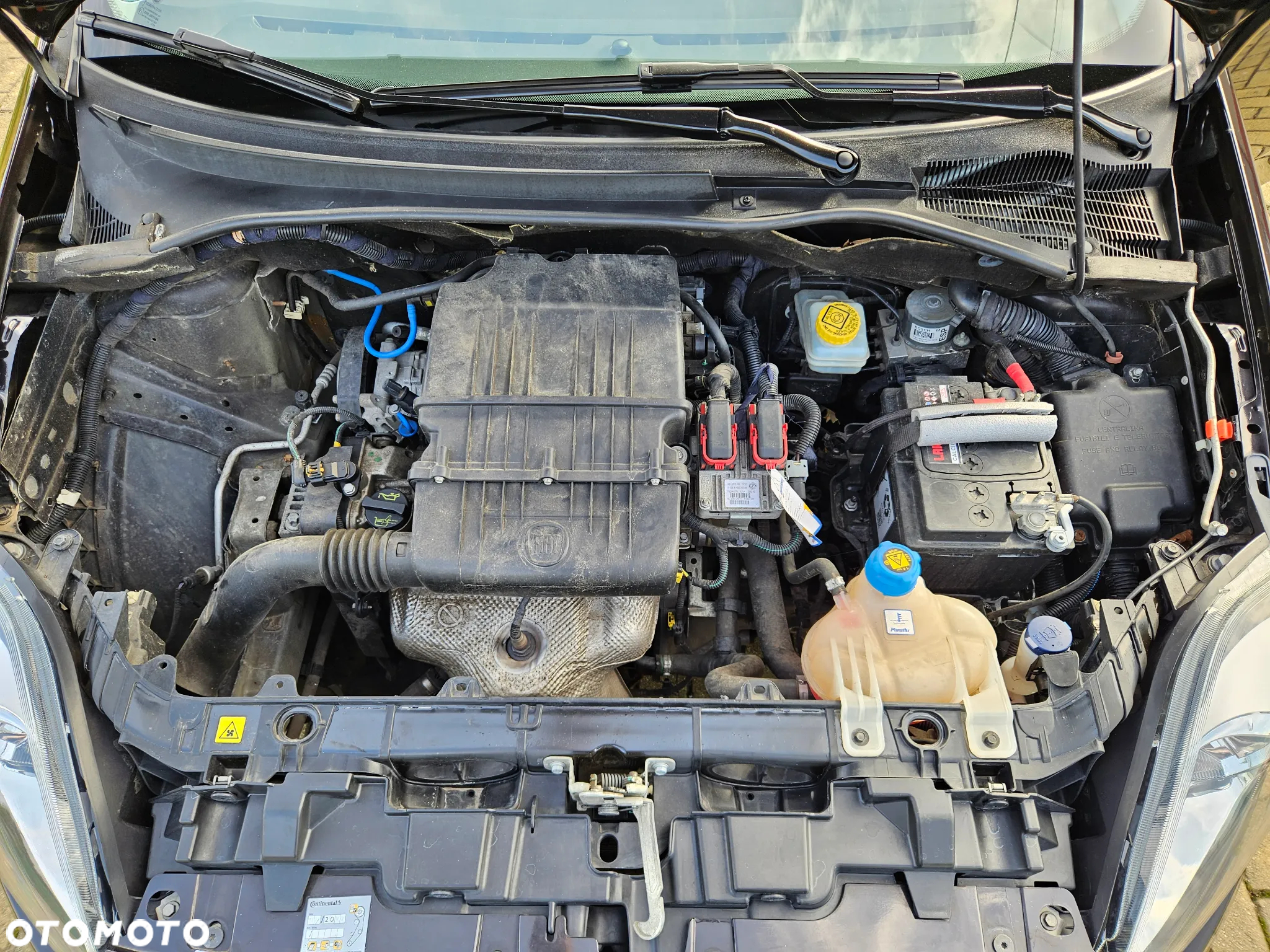 Fiat Punto 1.2 Easy - 36