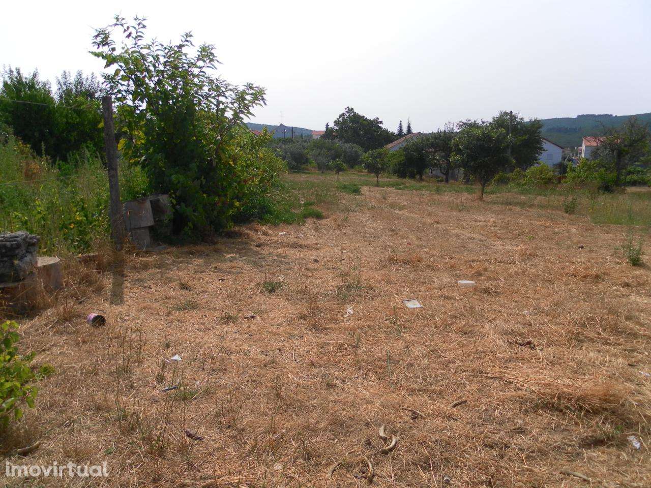 Lote de Terreno - Grande imagem: 4/8