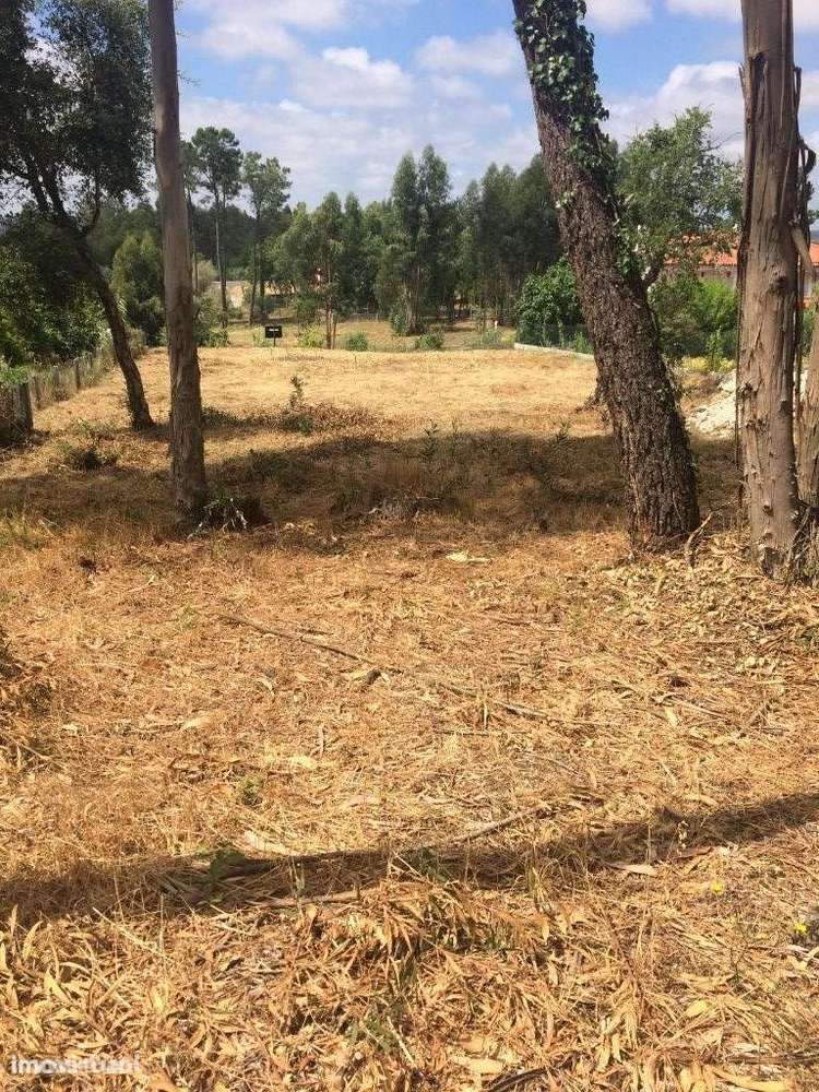 Terreno Marrazes / Leiria - Grande imagem: 3/5