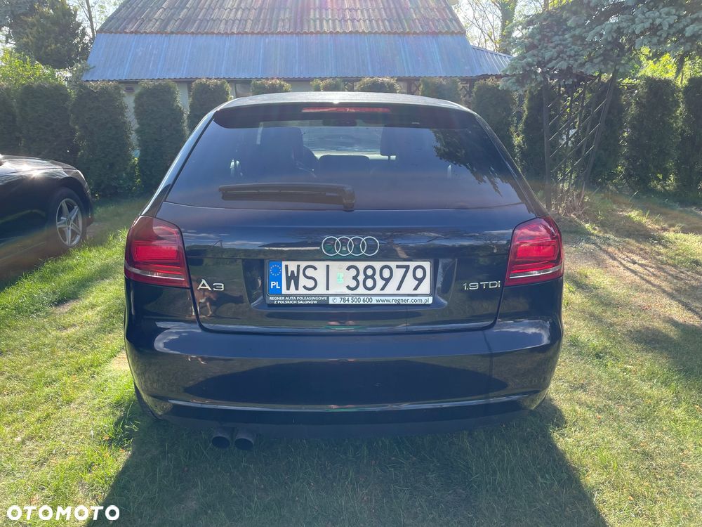 Audi A3 3-drzwiowe 1.9 TDI Ambiente - 15