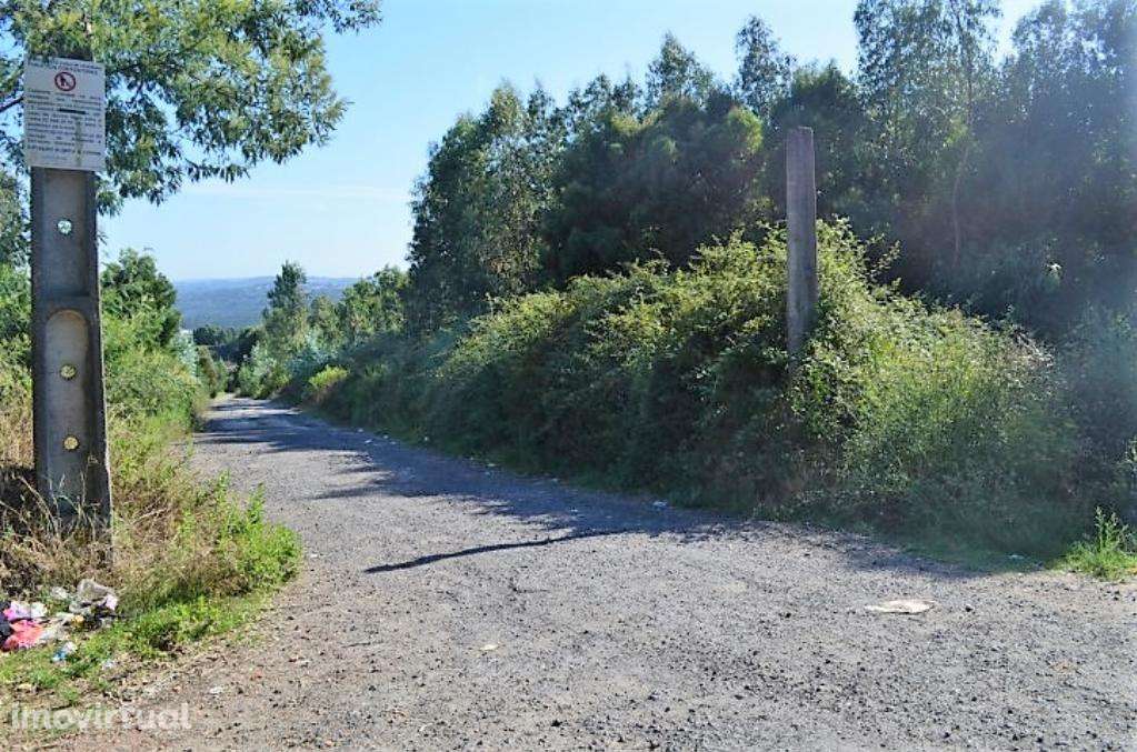 Terreno Rustico C/ 25.000m2 com viabilidade para construção em Gondoma - Grande imagem: 4/10