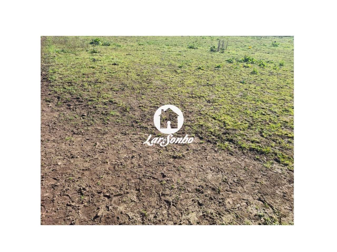 Terreno para construção de Moradia em Apúlia - Grande imagem: 4/14