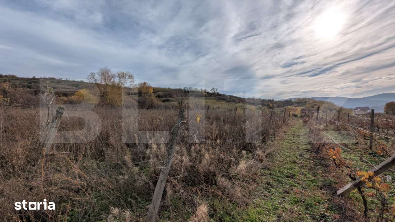 Teren pretabil pentru cabana, cu view - Imagine principală: 2/2