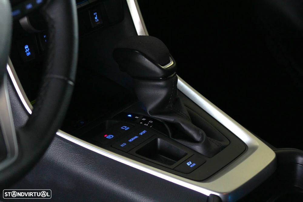 Toyota RAV4 2.5 HDF Lounge - 25