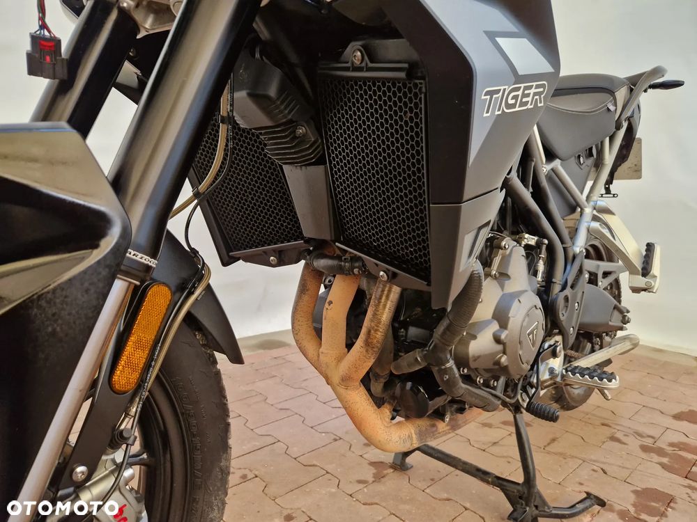Triumph Tiger - 34