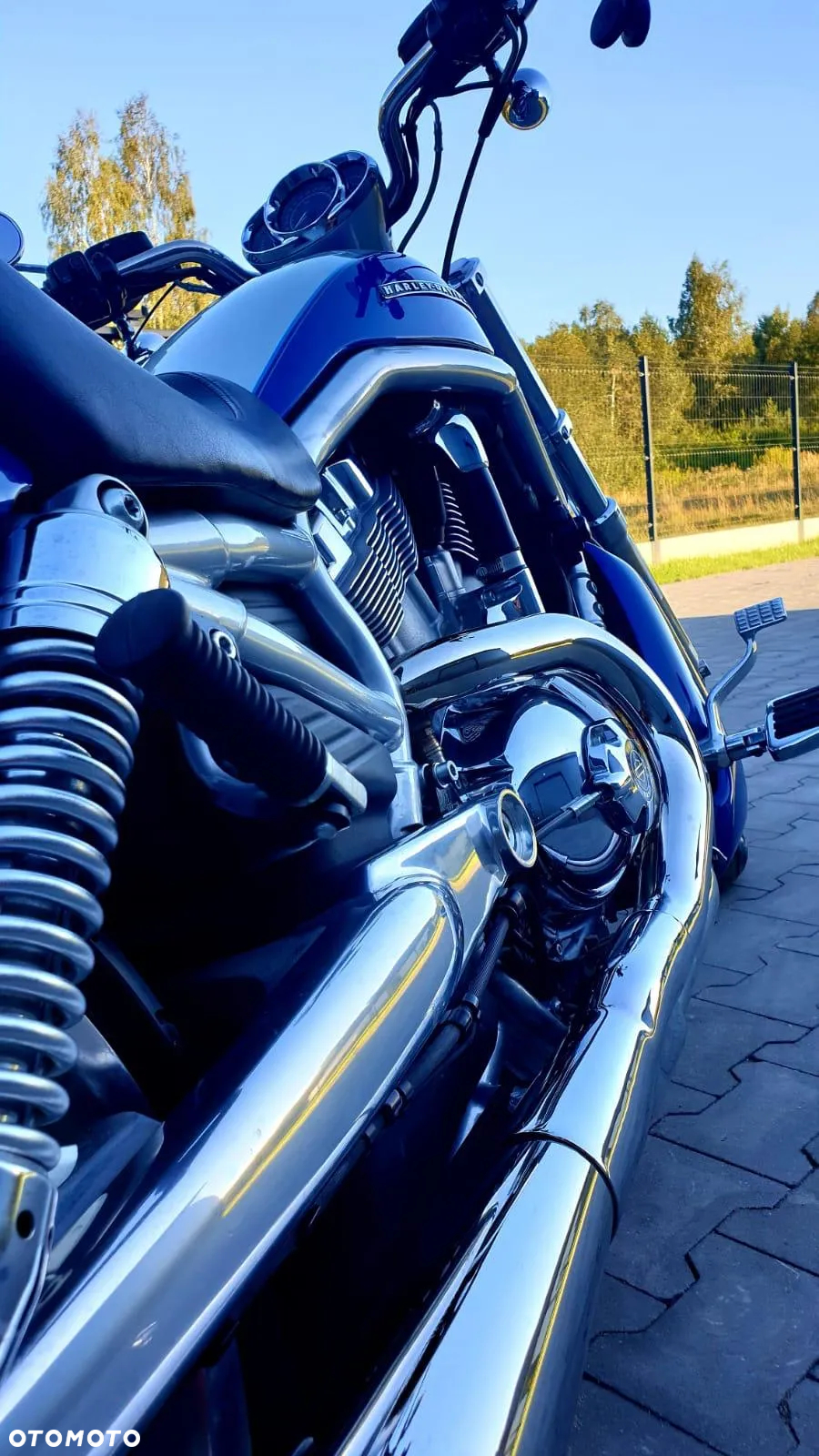 Harley-Davidson Softail V-Rod - 11