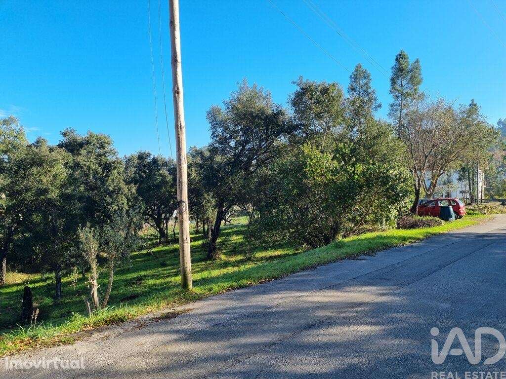 Terreno para construção em Poiares - Grande imagem: 4/40