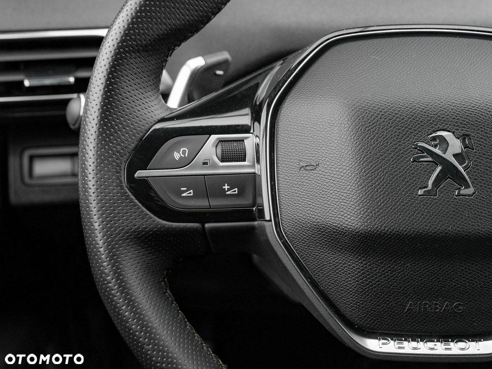 Peugeot 3008 1.5 BlueHDi GT S&S EAT8 - 17