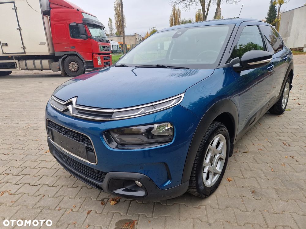 Citroen C4 Cactus 2019 photo 3