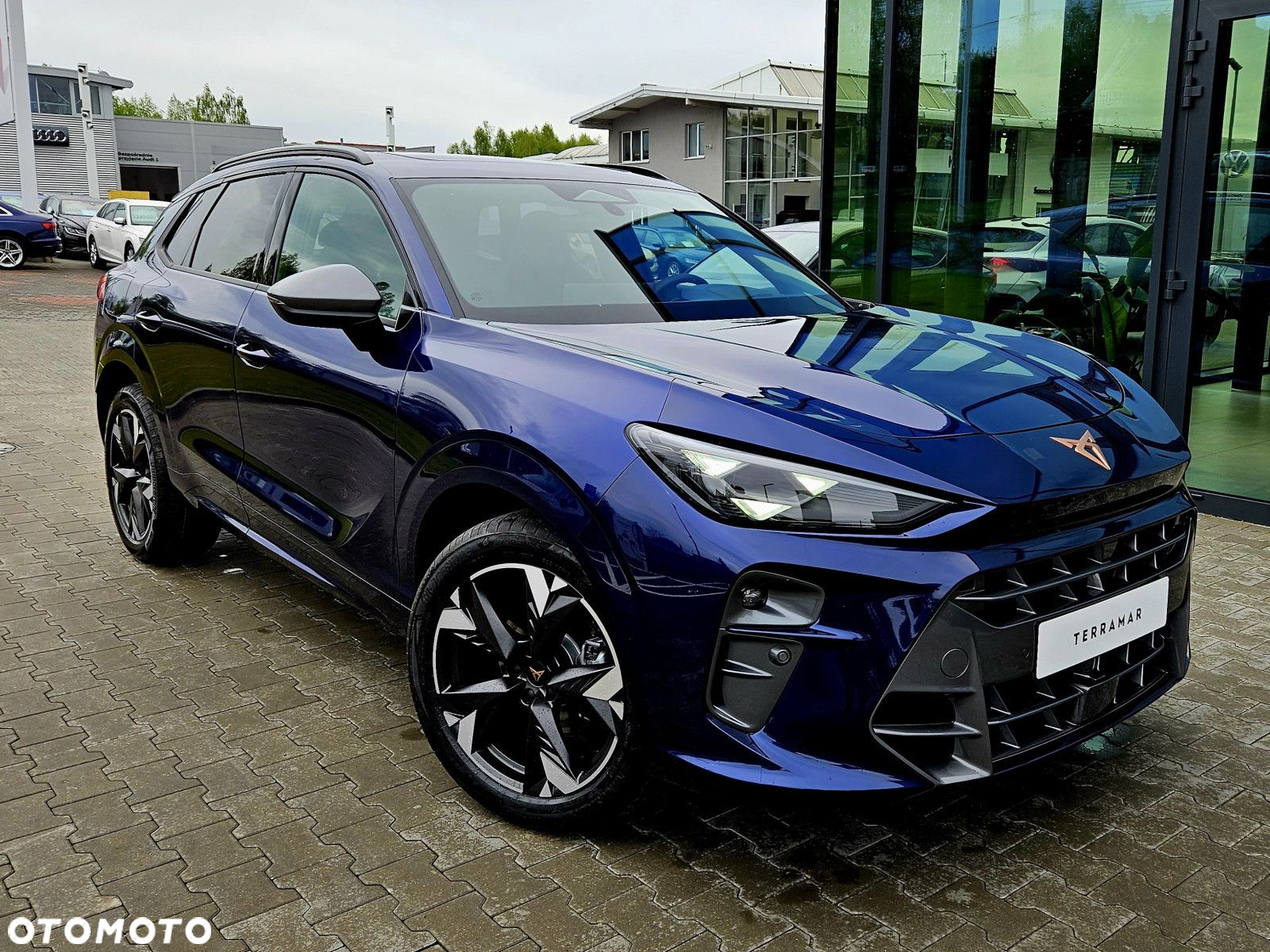 Cupra Terramar - 2