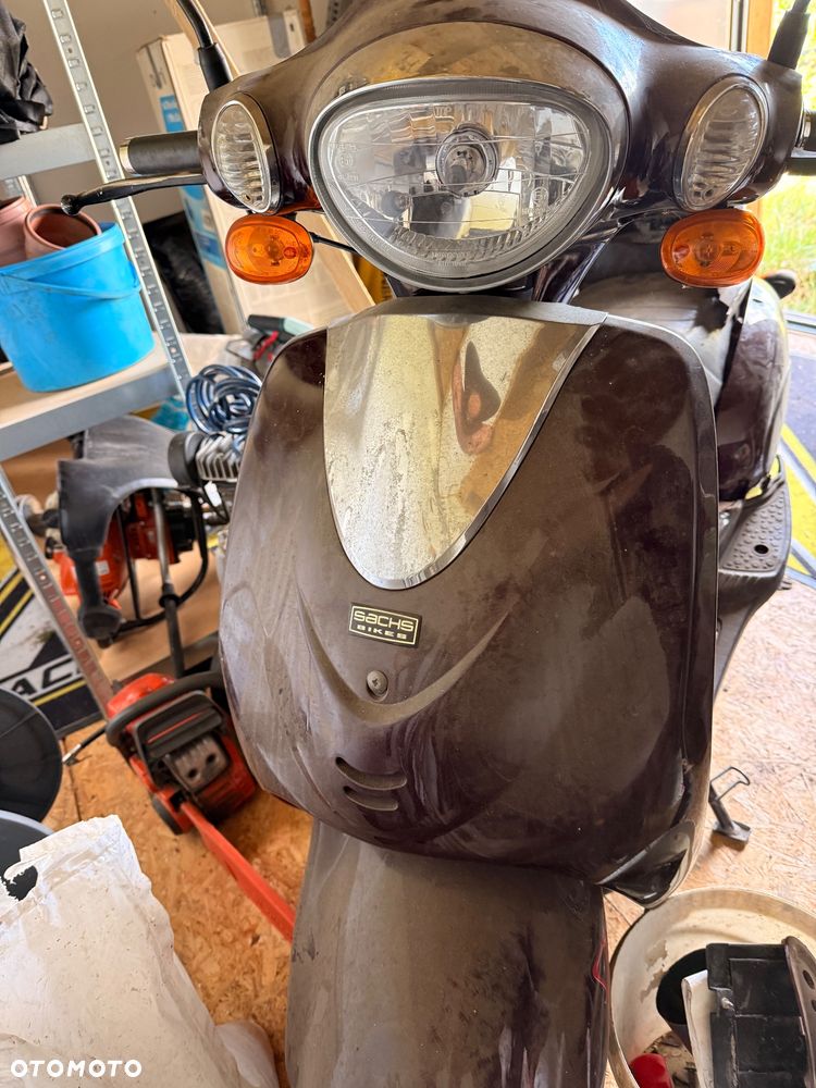 Sachs B - 3