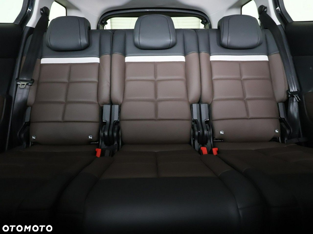 Citroën C5 Aircross Pure Tech 180 S&S EAT8 SHINE - 18