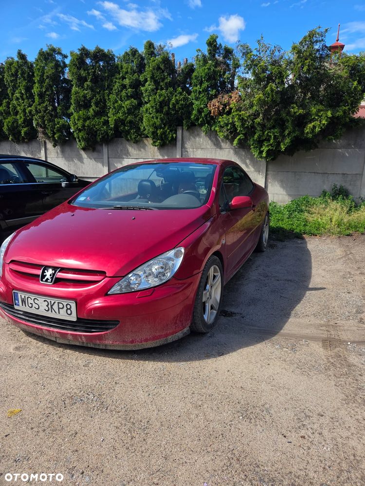 Peugeot 307 CC 2.0 Sport - 15