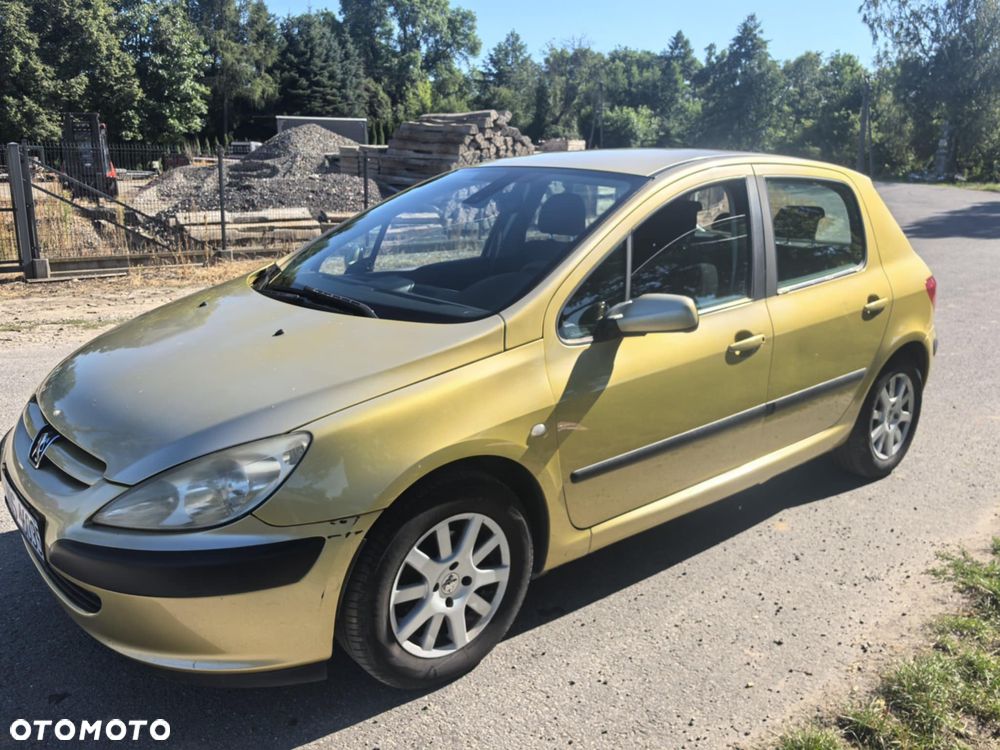 Peugeot 307 - 6