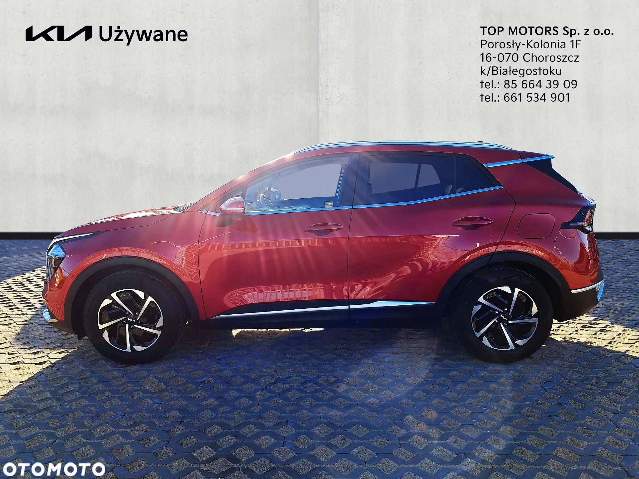 Kia Sportage 1.6 T-GDI HEV L 4WD - 2