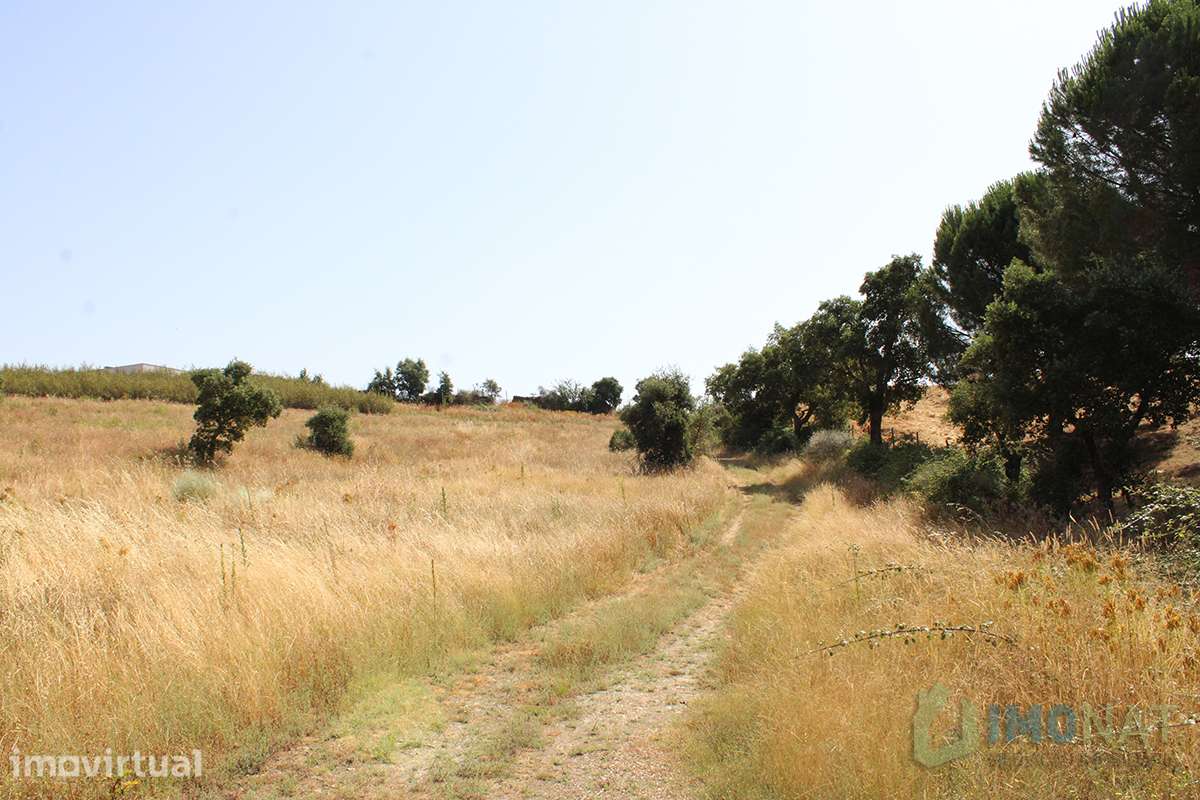 Terreno - Grande imagem: 2/36