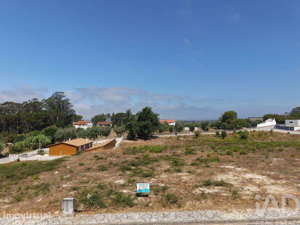 Terreno para construção em Carregal do Sal - Grande imagem: 3/12
