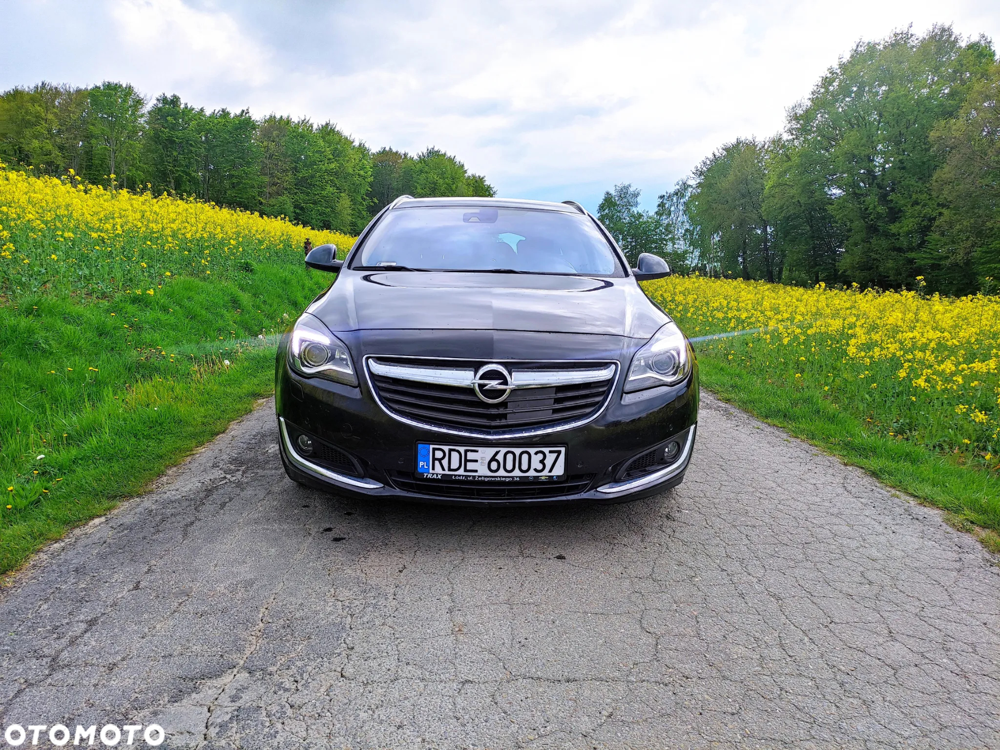 Opel Insignia 2.0 CDTI Sport S&S - 19