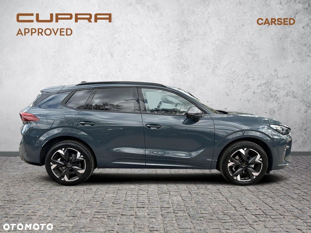Cupra Terramar 1.5 eTSI mHEV DSG - 8