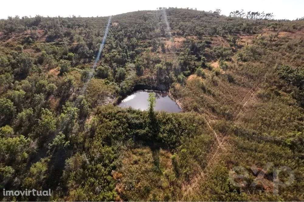 Excecional Herdade de 65 hectares no Alentejo com potencial de desenvo - Grande imagem: 3/48