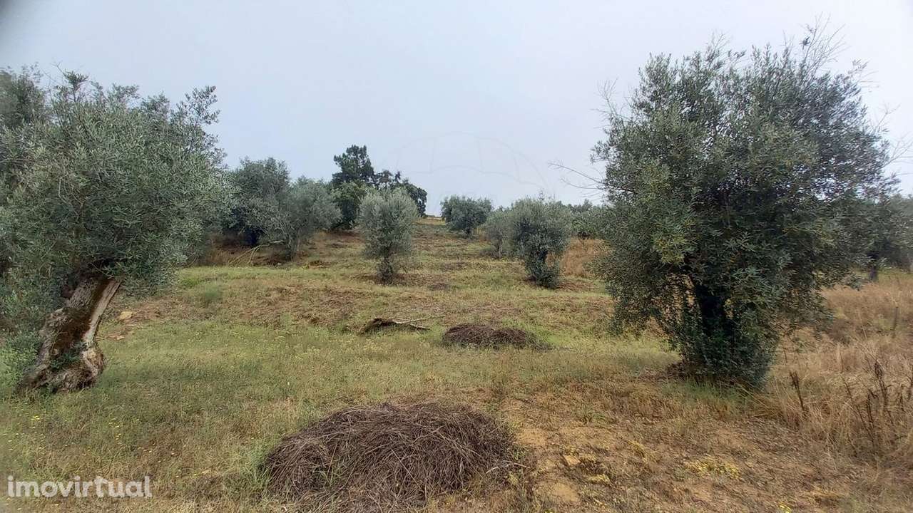 Terreno  para venda - Grande imagem: 3/10