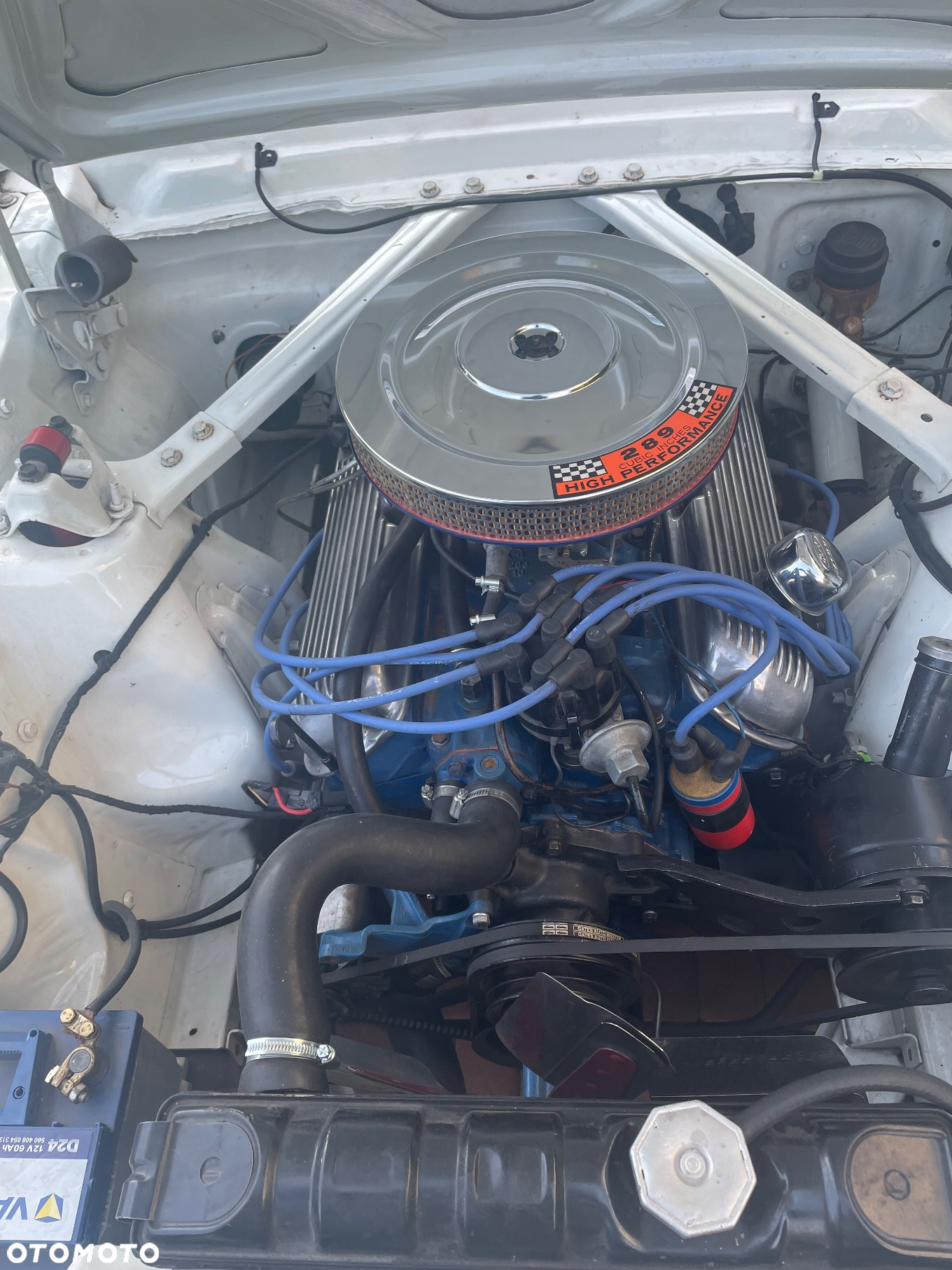 Ford Mustang - 31