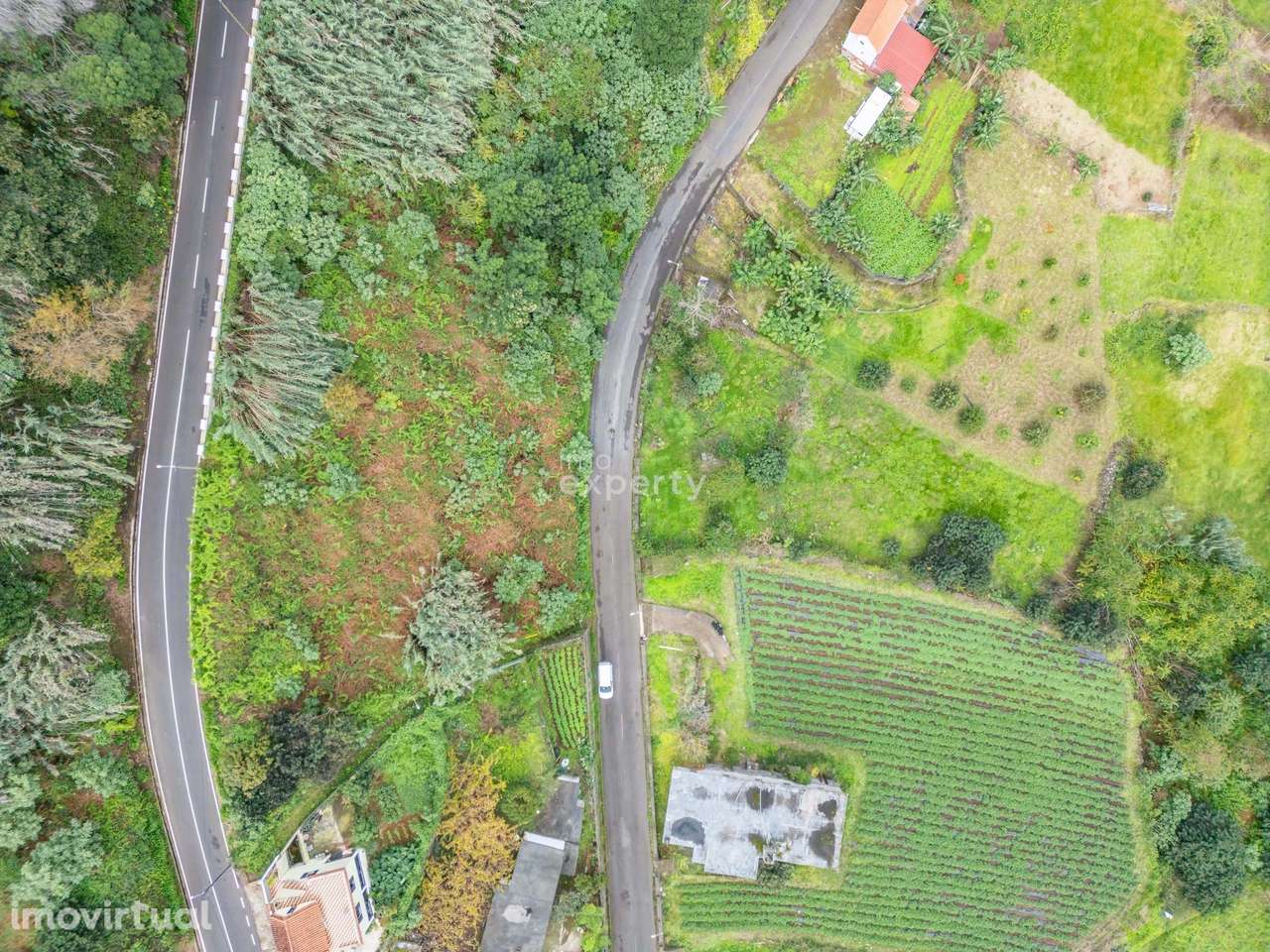 Terreno Rústico em Santana, Madeira - Grande imagem: 5/26