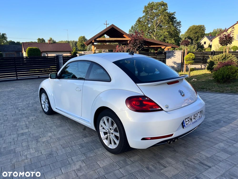 Volkswagen Beetle - 6